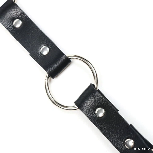 Anal Hooks Hook Anal with Kinky Leash EverydayUse and 5853 Collar 0808